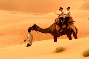 Camel Safari, Rajasthan Camel Safari, Rajasthan Camel Safari Tour, Camel 